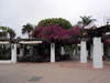 Cafe with flowers on roof